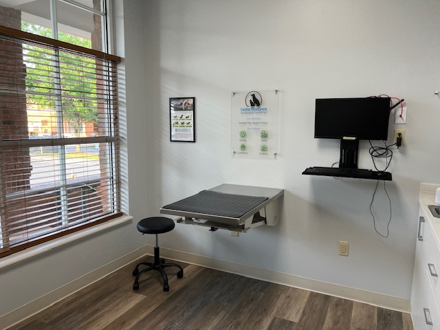 Central Providence Veterinary Hospital Exam Room