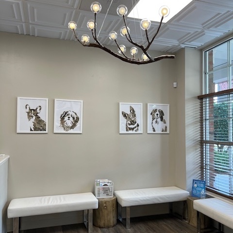 Central Providence Veterinary Hospital Lobby